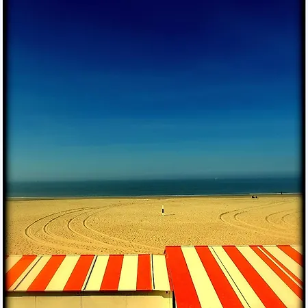 Zee Vakantievilla Begijnhof 5 De Haan *