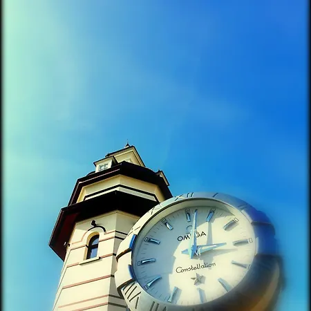 Zee Vakantievilla Begijnhof 5 De Haan * Nieuwmunster