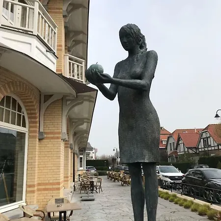 Zee Vakantievilla Begijnhof 5 De Haan * Nieuwmunster