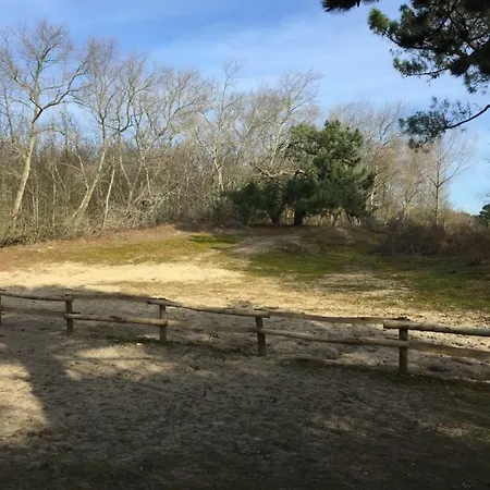 Zee Vakantievilla Begijnhof 5 De Haan Vila *