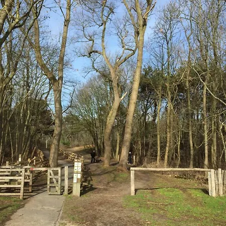 Zee Vakantievilla Begijnhof 5 De Haan Villa