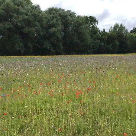 Zee Vakantievilla Begijnhof 5 De Haan Villa Nieuwmunster