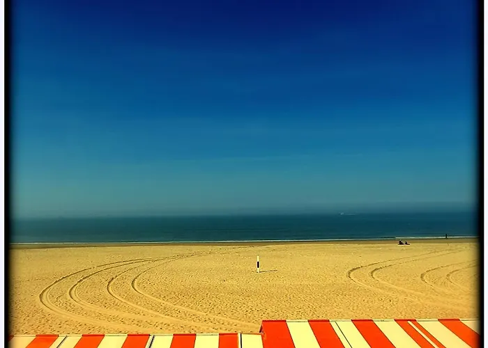 Zee Vakantievilla Begijnhof 5 De Haan *