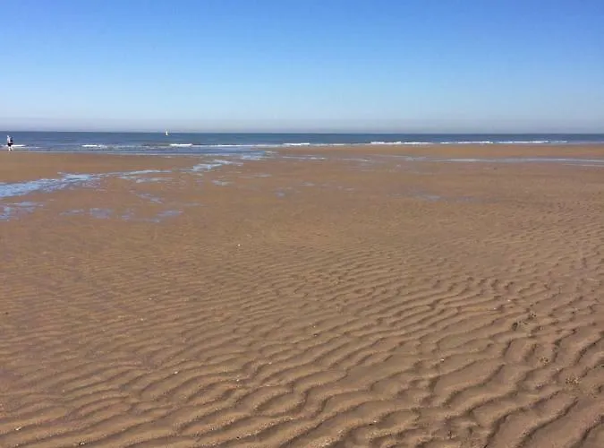 Villa Zee Vakantievilla Begijnhof 5 De Haan