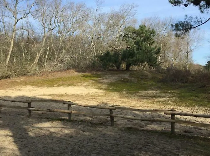 Zee Vakantievilla Begijnhof 5 De Haan Villa *