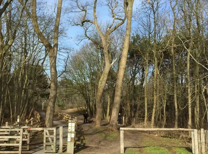 Zee Vakantievilla Begijnhof 5 De Haan Villa