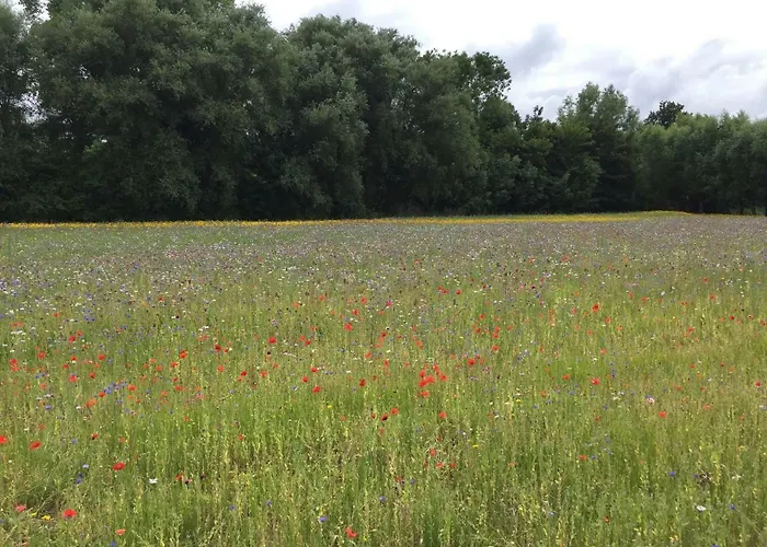 Zee Vakantievilla Begijnhof 5 De Haan Villa Nieuwmunster